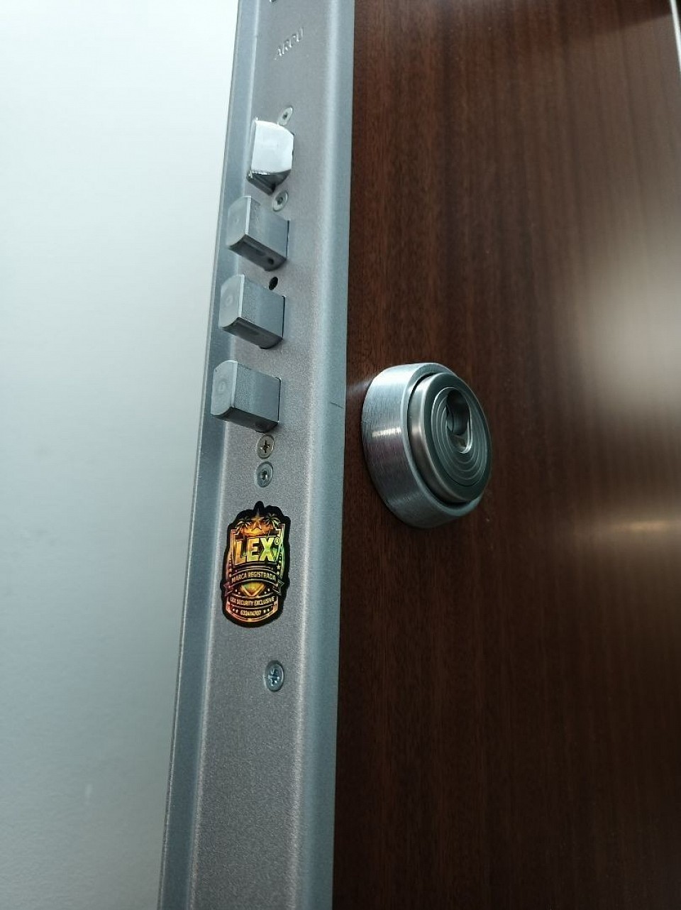 La combinación definitiva en seguridad para tu hogar. Puerta Blindada LEX Suprem  escudo magnético DISEC MR500E Diseño, resistencia y tecnología avanzada unidos en una sola instalación. Protege lo que más importa con un sistema preparado contra las técnicas de robo actuales. 💰 Pack completo desde 1.700€ 📍 Instalación en toda Cataluña ⭐ Más de 4.000 hogares ya confían en nosotros 📲 Solicita asesoramiento sin compromiso.  José Luis Comentario: De maravilla, recomendable al cien por cien, una calidad de materiales, y un trabajo de calidad inmejorable, con minuciosidad por los detalles, he quedado muy muy satisfecho con Alex. Precio calidad, muy competitivo. Muchas gracias Alex por todo, eres el mejor.!!